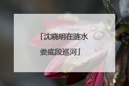 沈晓明在涟水娄底段巡河