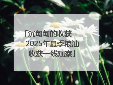沉甸甸的收获——2025年夏季粮油收获一线观察