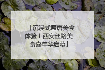沉浸式盛唐美食体验！西安丝路美食嘉年华启幕