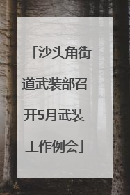 沙头角街道武装部召开5月武装工作例会