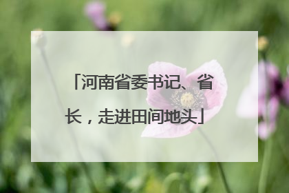 河南省委书记、省长，走进田间地头