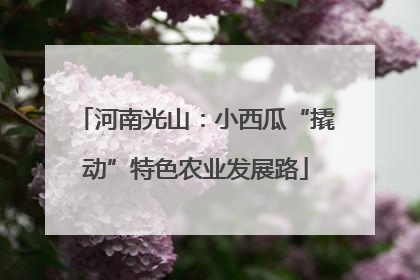 河南光山：小西瓜“撬动”特色农业发展路