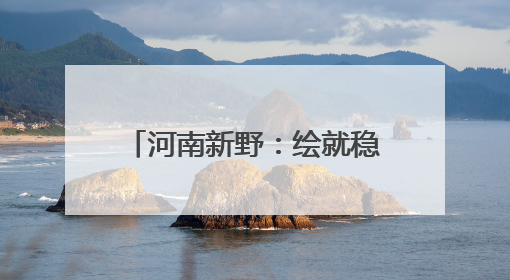 河南新野：绘就稳产丰收“金画卷”