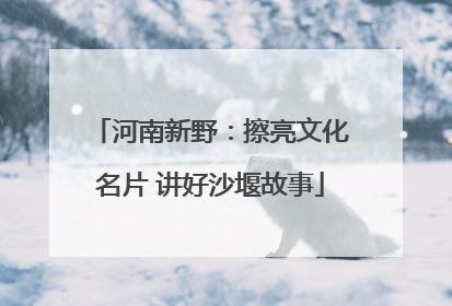 河南新野：擦亮文化名片 讲好沙堰故事