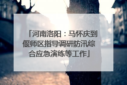 河南洛阳：马怀庆到偃师区指导调研防汛综合应急演练等工作