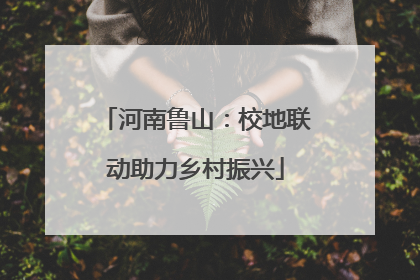 河南鲁山：校地联动助力乡村振兴