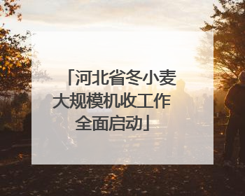 河北省冬小麦大规模机收工作全面启动