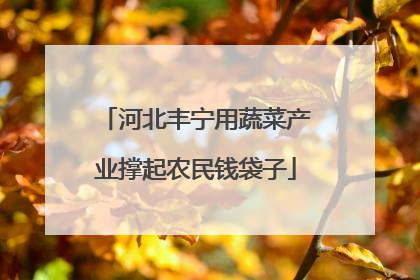 河北丰宁用蔬菜产业撑起农民钱袋子