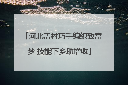河北孟村巧手编织致富梦 技能下乡助增收