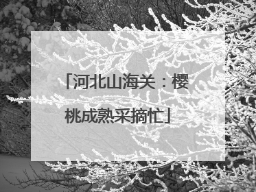 河北山海关：樱桃成熟采摘忙