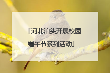 河北泊头开展校园端午节系列活动