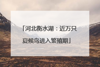 河北衡水湖：近万只夏候鸟进入繁殖期