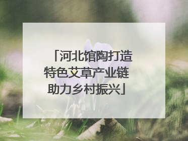 河北馆陶打造特色艾草产业链助力乡村振兴