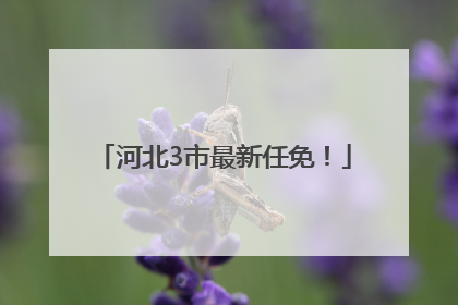 河北3市最新任免！