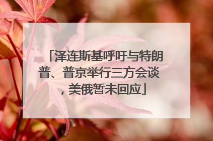 泽连斯基呼吁与特朗普、普京举行三方会谈，美俄暂未回应
