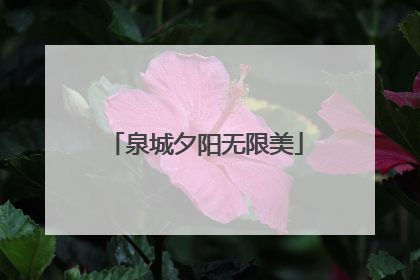 泉城夕阳无限美