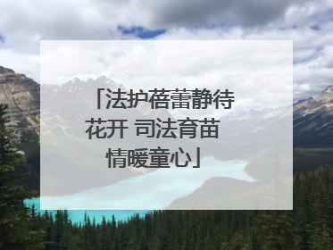 法护蓓蕾静待花开 司法育苗情暖童心