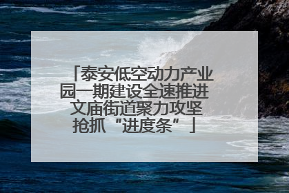 泰安低空动力产业园一期建设全速推进 文庙街道聚力攻坚抢抓“进度条”