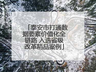泰安市打通数据要素价值化全链路 入选省级改革精品案例