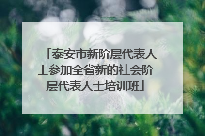 泰安市新阶层代表人士参加全省新的社会阶层代表人士培训班