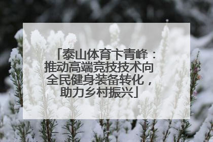 泰山体育卞青峰：推动高端竞技技术向全民健身装备转化，助力乡村振兴