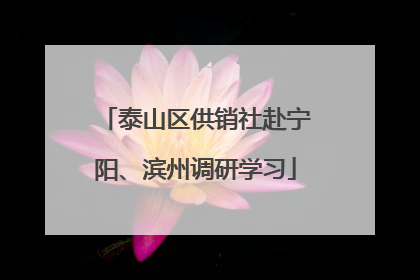泰山区供销社赴宁阳、滨州调研学习