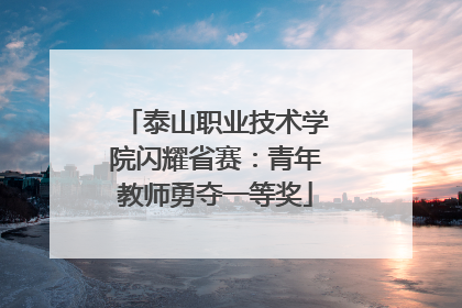 泰山职业技术学院闪耀省赛：青年教师勇夺一等奖