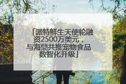 派特鲜生天使轮融资2500万美元，与海鼎共推宠物食品数智化升级