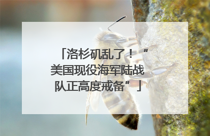 洛杉矶乱了！“美国现役海军陆战队正高度戒备”