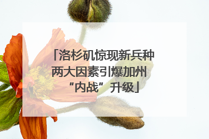 洛杉矶惊现新兵种 两大因素引爆加州“内战”升级