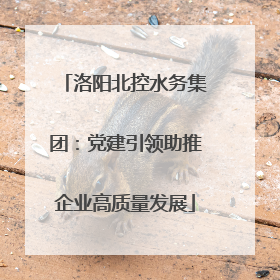 洛阳北控水务集团：党建引领助推企业高质量发展