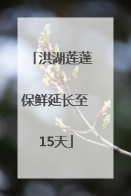洪湖莲蓬保鲜延长至15天
