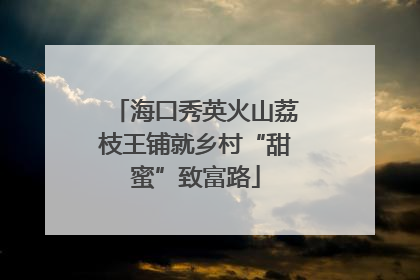 海口秀英火山荔枝王铺就乡村“甜蜜”致富路