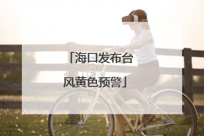 海口发布台风黄色预警