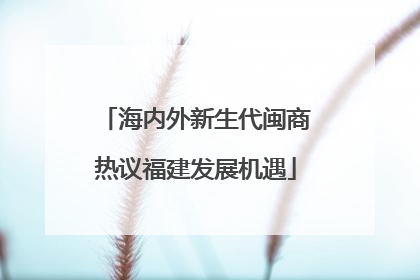 海内外新生代闽商热议福建发展机遇