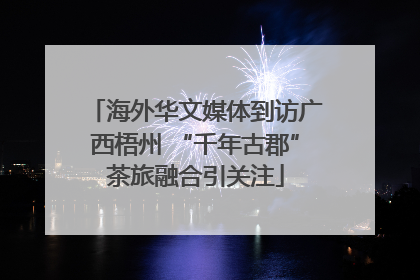 海外华文媒体到访广西梧州 “千年古郡”茶旅融合引关注
