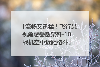 流畅又迅猛！飞行员视角感受数架歼-10战机空中近距格斗