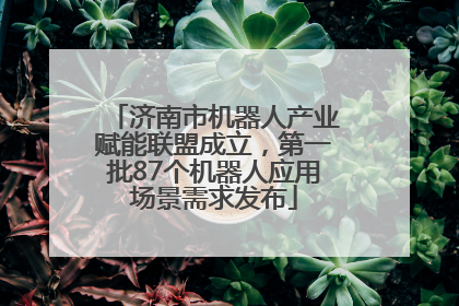 济南市机器人产业赋能联盟成立，第一批87个机器人应用场景需求发布