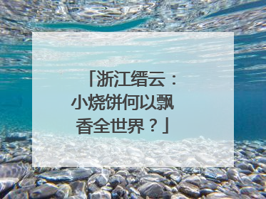 浙江缙云：小烧饼何以飘香全世界？