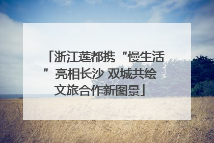 浙江莲都携“慢生活”亮相长沙 双城共绘文旅合作新图景