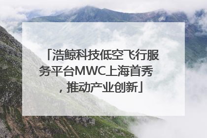 浩鲸科技低空飞行服务平台MWC上海首秀，推动产业创新