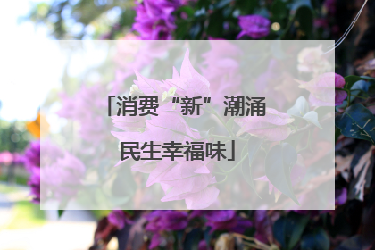 消费“新”潮涌 民生幸福味