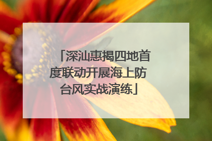 深汕惠揭四地首度联动开展海上防台风实战演练