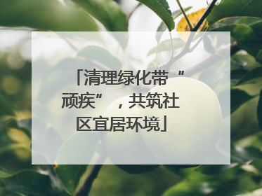 清理绿化带“顽疾”，共筑社区宜居环境