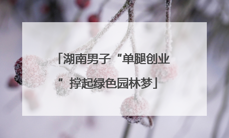 湖南男子“单腿创业”撑起绿色园林梦