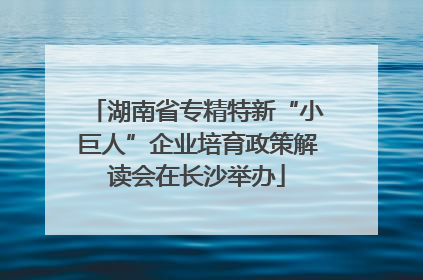 湖南省专精特新“小巨人”企业培育政策解读会在长沙举办