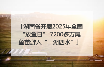 湖南省开展2025年全国“放鱼日” 7200多万尾鱼苗游入“一湖四水”