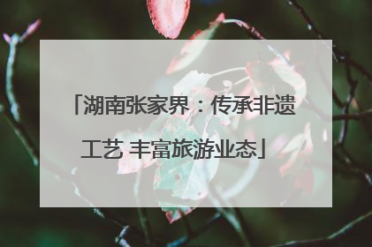 湖南张家界：传承非遗工艺 丰富旅游业态