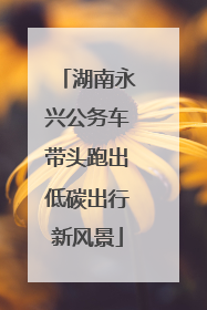 湖南永兴公务车带头跑出低碳出行新风景