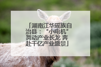 湖南江华瑶族自治县：“小电机”舞动产业长龙 奔赴千亿产业盛景